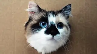CATS TAKE OVER THE STORE! Hilarious Feline Shopping Spree #funnyvideo #catvideos #funnycats #viral