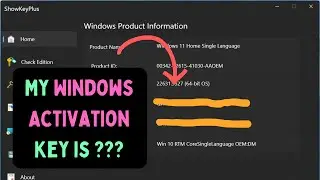 How to View Product Key Windows 11