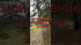 МОЙ ДНЕВНИК СЕНТЯБРЬ 2023