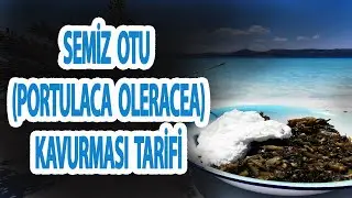 Semiz Otu Kavurması Tarifi (Bulgurlu) | Latmos Mutfak - Yemek Tarifleri