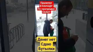 Канада. Монреаль.  Что делать дальше?
