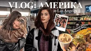 VLOG: I'M IN AMERICA | Los Angeles, Americans, My Life | Did I Get a US VISA? | Polina Denisova