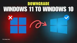 How To Downgrade From Windows 11 To Windows 10 (Easiest Method)