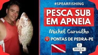 Dentão nos 26 metros de Profundidade | Pesca Submarina #spearfishing #fishinglife #michelcarvalho