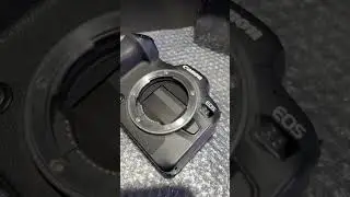 Canon r6