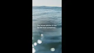 If you just need a few moments of quiet... 🌊  