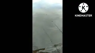 VIRAL!!!!kewalahan saat ikan ini menarik mata pancing saya