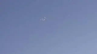 полёт Будапештских высоколётных голубей 26 08 2024г