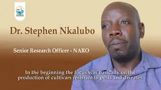 Bean Farming In Uganda - NARO