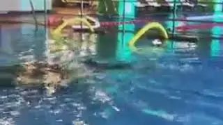 Кристина Асмус опубликовала новые видео с участием дочери