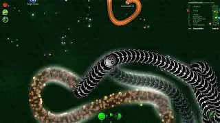 Wormax.io | Death