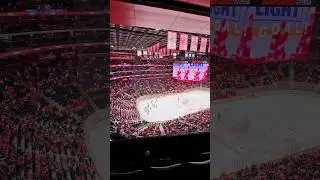 Detroit Red Wings hockey game sounds! 🏒🔊 #detroitredwings #nhl #hockey