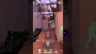 0.49 800dpi
