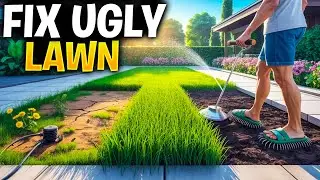 How To Fix An Ugly Lawn Without Special