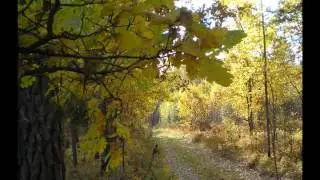 слайдшоу из лучших фото