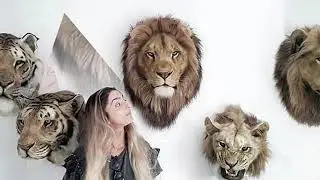 Animal Replicas - Mounted Mammals