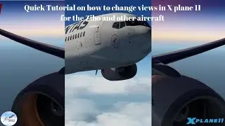 Quick X plane 11 tutorial on changing the camera