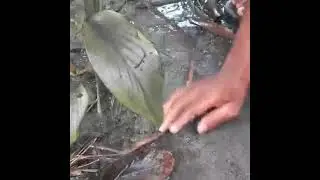 Fishing in Village After Rain
