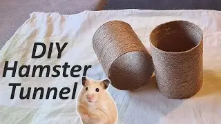 Hamster Tunnel DIY - How to Make