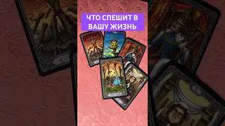 Что спешит в Вашу жизнь? 