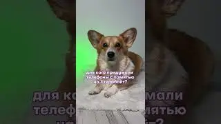 Мы?