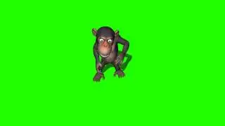 monkey dance 2 in green screen