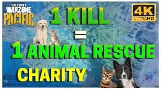 I rescue 1 puppy for every 1 kill in this game