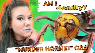 How Bad is the 