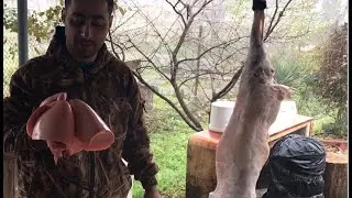люля кебаб из барашки с гранатовым соусом