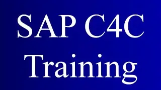 SAP C4C Training Demo Video | SAP C4C Online Course - SAP NETIZENS