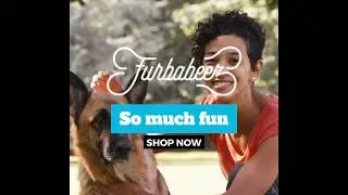 Shop for Dog Clothes at Furbabeez Pet Boutique