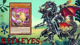 [NEW] ELISE will make this deck become tier? | RED-EYES XYZ deck Mar.2021 | No DRAGOON