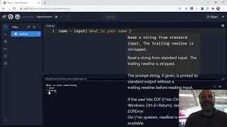 Using the Input Function in Python