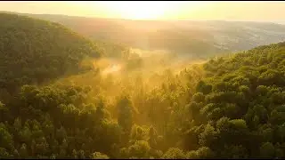 Business comes natural with IoT