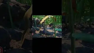 Shooting ants (Grounded)