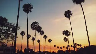 sammy rash - call it off