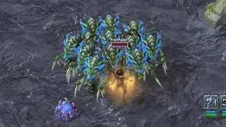 Kerrigan Survival Hunter Guide!