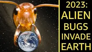 2023 Alien Bugs Invade Earth Full Gameplay (No Commentary)