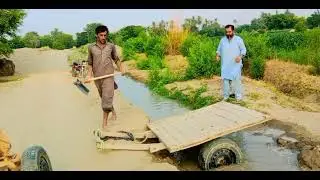 Pakistani  Jugar 😬😬