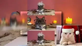 YTPMV УРОК СТРАШИЛОК   ЕСЛИ БЫ КОТИКИ ХОДИЛИ В ШКОЛУ Scan