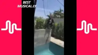 Jake Paul musically's