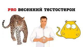 Про весенний тестостерон
