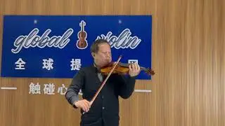 Level A handmade professional violin sound demo (DY-01-002)