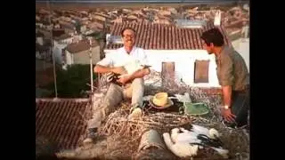 Gracias Francisco Bernis (Centenario del fundador de SEO/BirdLife)