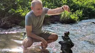 Словения 2024