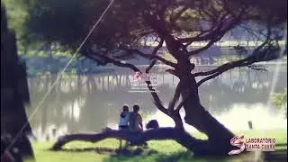 Portfólio - Edição de Video - Camila Chaves Mkt