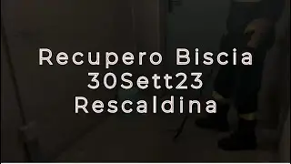 🚒👩‍🚒👩‍🚒🧯🗜️🐍 Recupero Rettile 30Sett23 Rescaldina