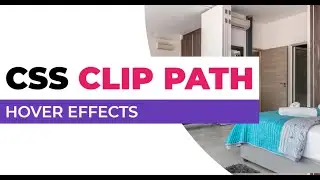 CSS Clip Path Hover Circle Effects | CSS Hover Effects With Clip Path | Smart Webtuts