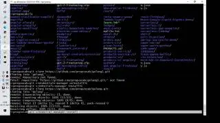 fatal: repository not found