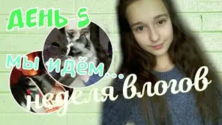 Неделя влогов день 5/ едем в магазин гуччи?